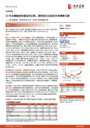 2020年年报点评:20年业绩触底有望迎来反弹,期待浙石化股权并表增厚业绩