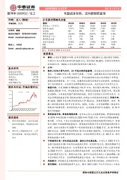 巩固成本优势,迈向新型肥蓝海
