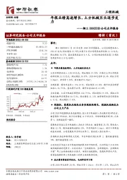 公司点评报告：年报业绩高速增长，土方机械巨头逐步发力