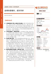 2020年报点评:业绩快速增长,成长向好