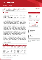 2020年年报点评：业绩符合预期，新型复合肥助力未来高增长