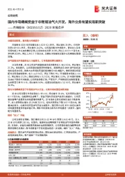 2020年报点评:国内市场继续受益于非常规油气大开发,海外业务有望实现新突破