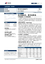 2020年年报点评:龙头稳成长,盈利创新高
