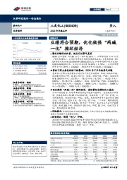 2020年年报点评:业绩符合预期,优化做强“两碱一化”循环经济