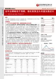 建设机械2020年报点评:全年业绩略低于预期,塔机租赁龙头有望加速成长