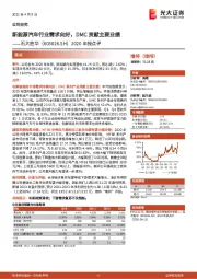 2020年报点评：新能源汽车行业需求向好，DMC贡献主要业绩