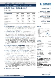 2020年年报点评:业绩符合预期,前驱体量利齐升