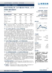 2020年年报点评：20年盈利水平承压，21年业绩有望快速提升