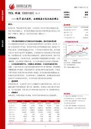 向IT显示进军，全领域显示龙头地位确立