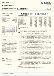 聚氨酯量价齐升，公司盈利快速增长