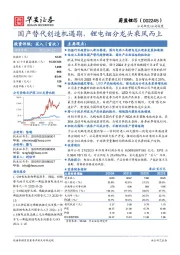 国产替代创造机遇期,锂电细分龙头乘风而上