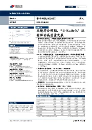 2020年年报点评:业绩符合预期,“日化+油化”双轮驱动高质量发展