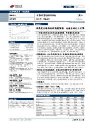 2021年一季报点评:单季度业绩再创新高超预期,打造全球化工巨擎