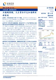 业绩超预期，大力资本开支加速新材料布局