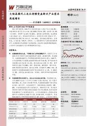 点评报告:大陆晶圆代工龙头持续受益新兴产业需求高速增长