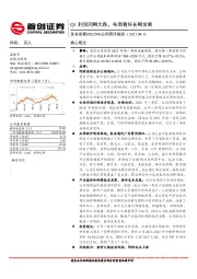 公司简评报告：Q1利润同期大跌，布局看好长期发展