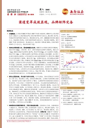 渠道变革成效显现，品牌矩阵完备