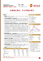 2020年年报点评：业绩稳定增长，市占率稳步提升