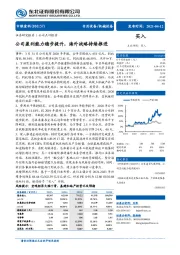 公司盈利能力稳步提升,海外战略持续推进