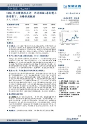 2020年业绩快报点评:芯片短缺+原材料上涨背景下,业绩依然靓丽