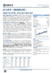 2020年符合预期，营运改善为2021奠基