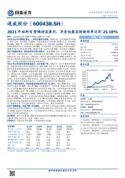 2021年硅料有望维持高盈利，异质结最高转换效率达到25.18%
