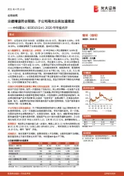 2020年年报点评：业绩增速符合预期，子公司海光业务加速推进