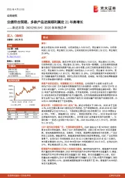 2020年年报点评：业绩符合预期，多款产品进展顺利奠定21年高增长
