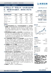 20年报&21年一季报点评：电池盈利底部确定，硅料盈利加速提升，融资助力再扩张