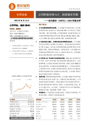 2020年报点评：公司积极布局HJT，持续增长可期