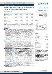 2020年年报和2021一季报点评：年报业绩符合我们预期，Q1核心业务营收增速仍较快