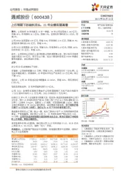 上行周期下的硅料龙头，21年业绩有望高增