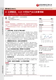 濮阳惠成年报&一季度业绩预告点评：Q1业绩靓丽，OLED中间体产业化前景明晰