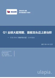 点评报告：Q1业绩大超预期，面板龙头迈上新台阶