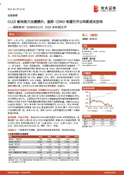 2020年年报点评:OLED板块助力业绩提升,医药CDMO有望打开公司新成长空间