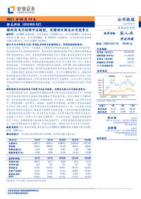 顺利向电子材料平台转型,定增项目强化公司竞争力