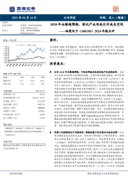 2020年报点评:2020年业绩超预期,深化产业布局打开成长空间