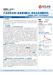 2020年年报点评：产品矩阵完善+渠道营销配合，带来未来增量空间