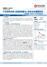 2020年年报点评:产品矩阵完善+渠道营销配合,带来未来增量空间