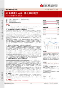 安琪酵母点评报告:Q1业绩增长46%,提价顺利推进