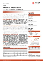 2020年年报点评:业绩符合预期,电踏车电机量利齐升