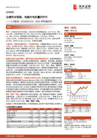 2020年年报点评:业绩符合预期,电踏车电机量利齐升