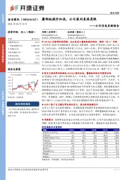 公司信息更新报告:覆铜板提价加速,公司盈利表现亮眼