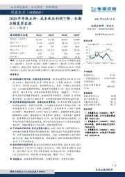 2020年年报点评：成本承压利润下降，长期业绩复苏在途