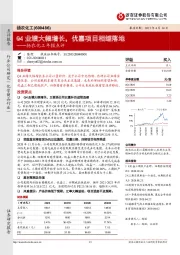 扬农化工年报点评：Q4业绩大幅增长，优嘉项目相继落地