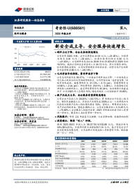 2020年报点评:新安全成主导,安全服务快速增长