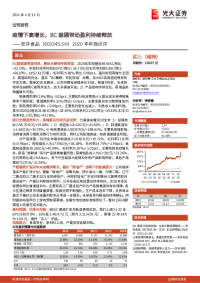 2020年年报点评:疫情下高增长,BC兼顾带动盈利持续释放