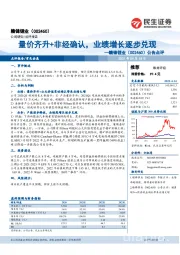 公告点评：量价齐升+非经确认，业绩增长逐步兑现