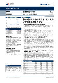 2021年第一季度业绩预告点评:扣非利润同比和环比大增,股权激励方案彰显长期发展信心
