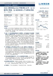 2020业绩快报&21Q1季报预告点评：Q1业绩符合预期，Q2起陆续进入产品释放周期